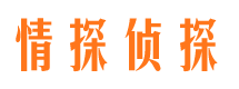 宝山区找人公司